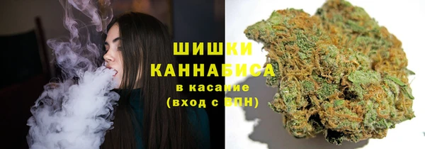 бошки Саяногорск