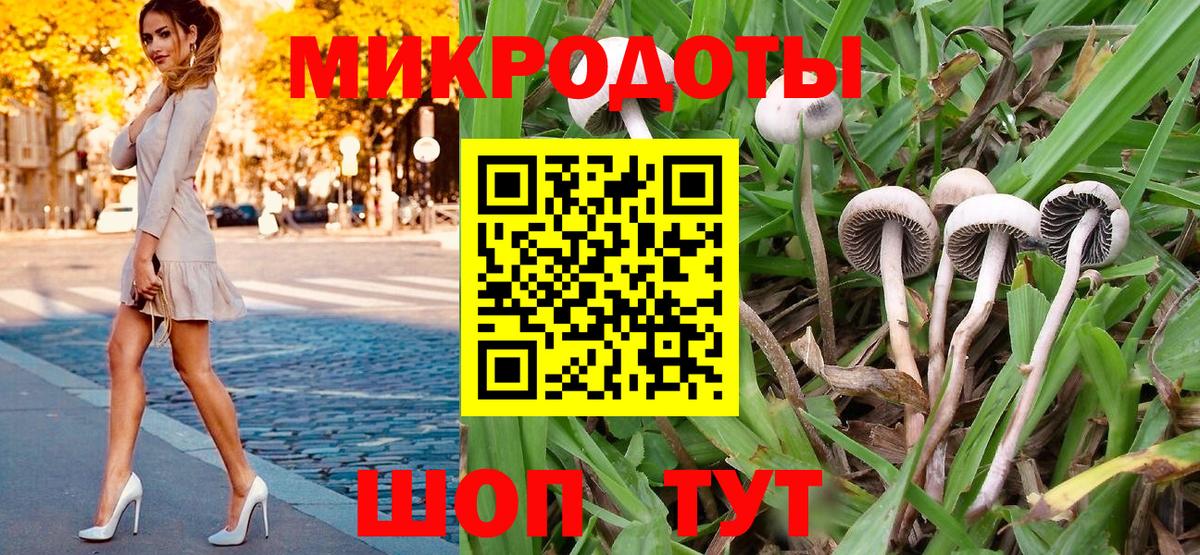 Галлюциногенные грибы мухоморы  Галлюциногенные грибы Cubensis  Тутаев  наркота  Вход с VPN 