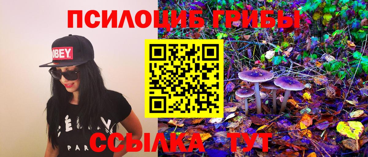 Псилоцибиновые грибы Psilocybine cubensis  Тутаев 