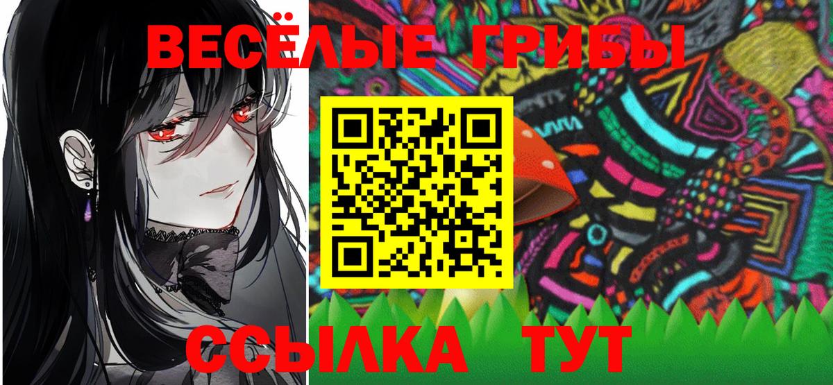 Псилоцибиновые грибы GOLDEN TEACHER Тутаев